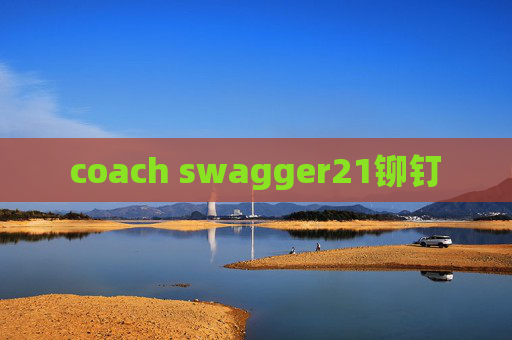 coach swagger21铆钉